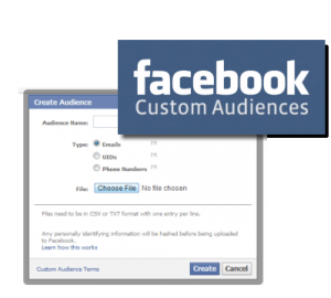 facebook-custom-audiences-remarketing-consultants