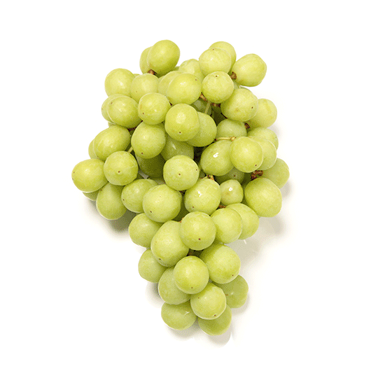Green Grape photo on white background