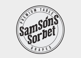 Samson Sorbet Logo Option 2