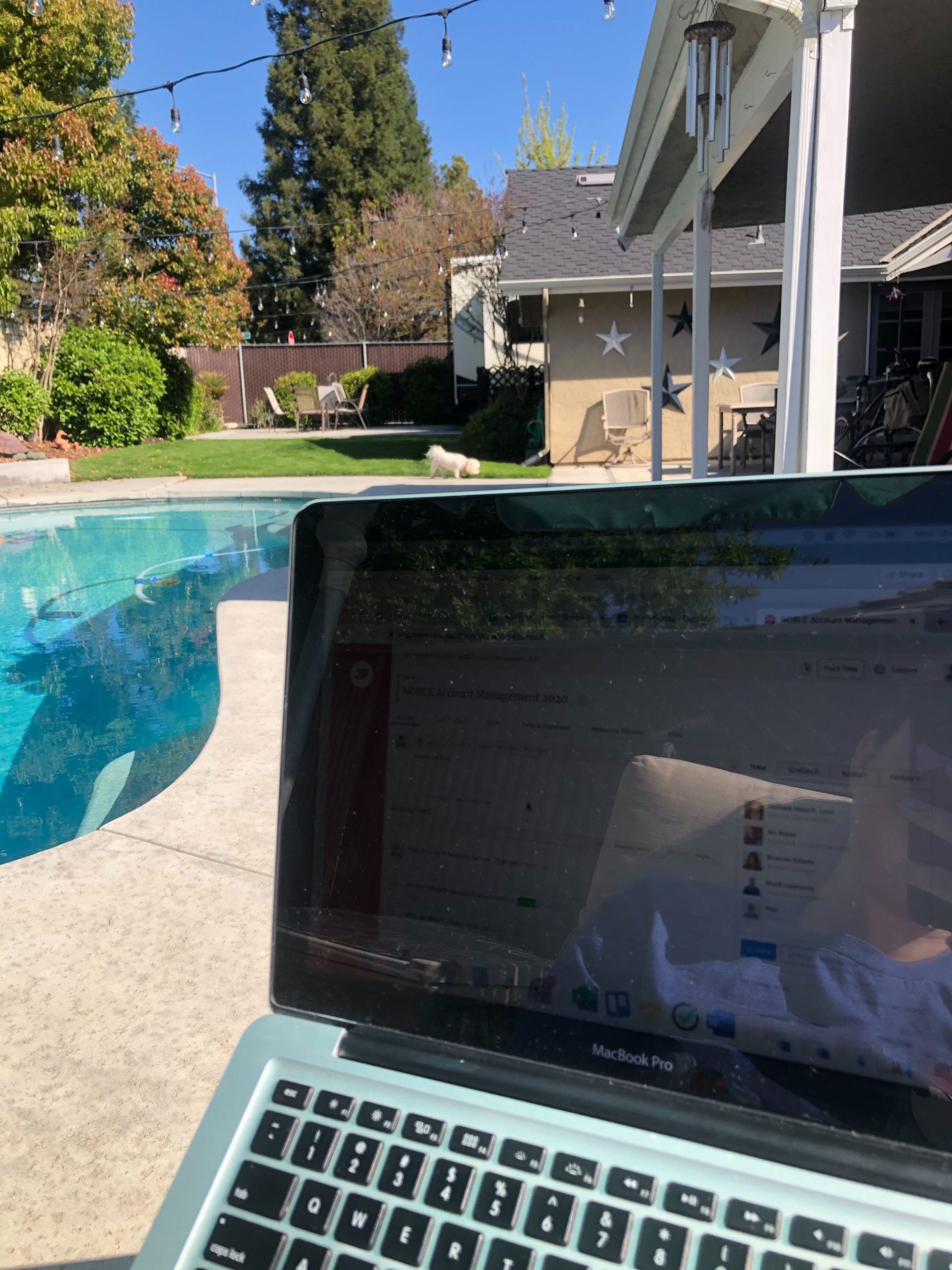Shaeley's home office by the pool