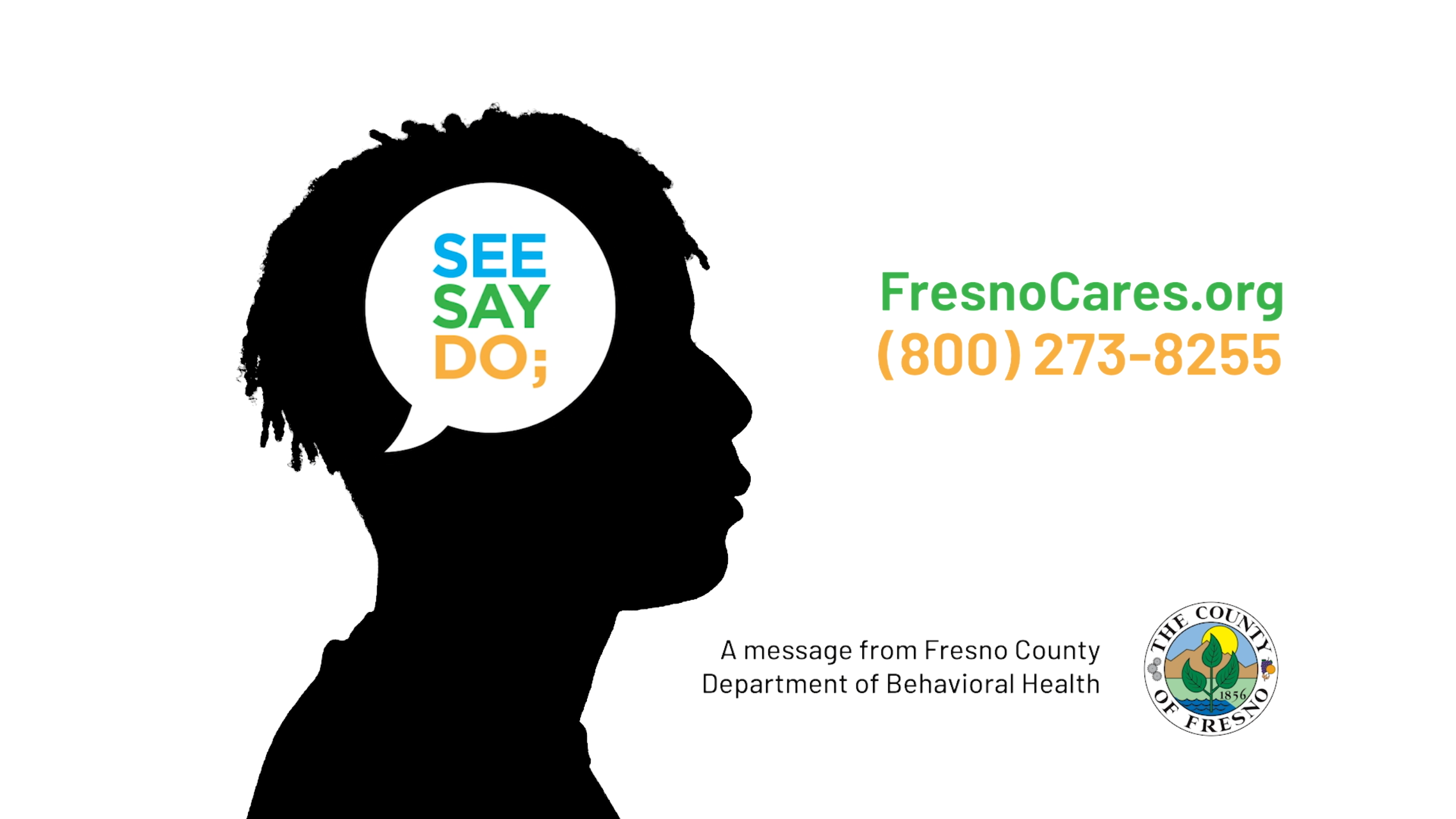 Fresno County  Department of Behavioral Health